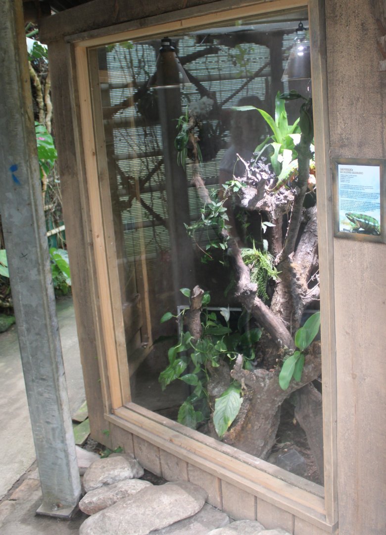 Enclosure Panther chameleon