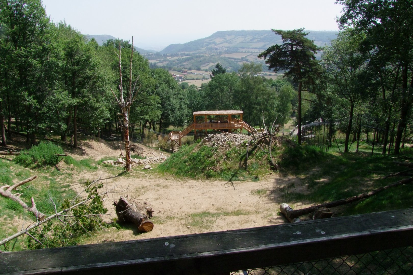 Enclosure Panthera tigris