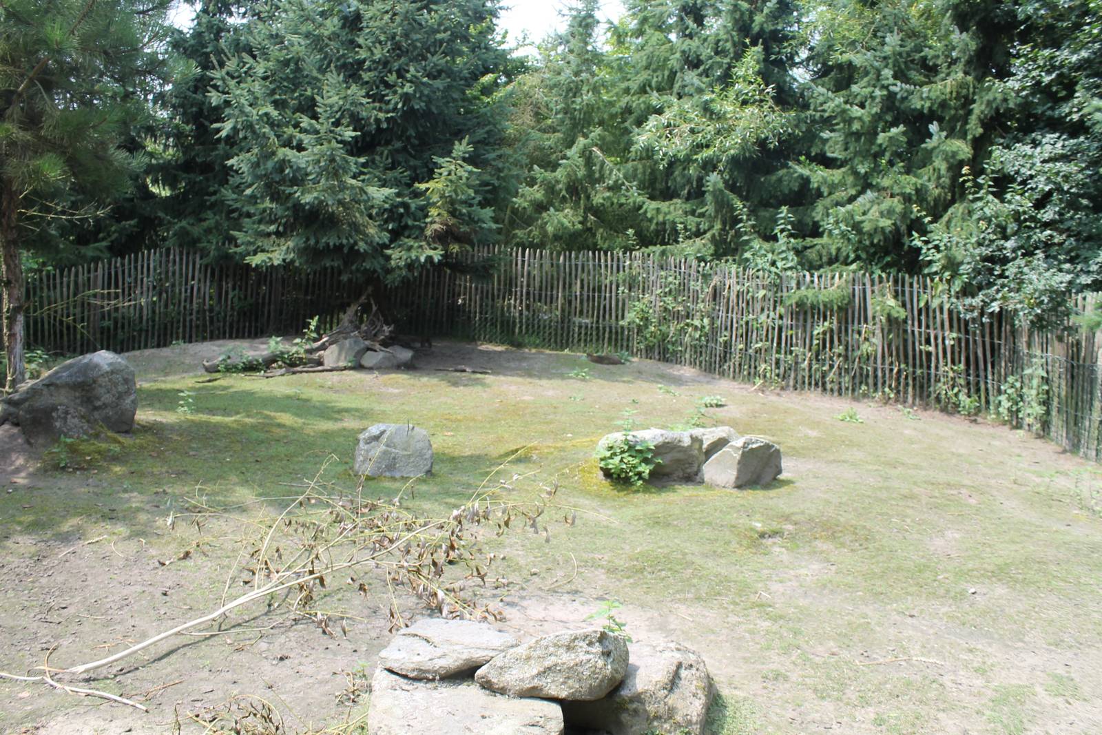 Enclosure Parma wallaby