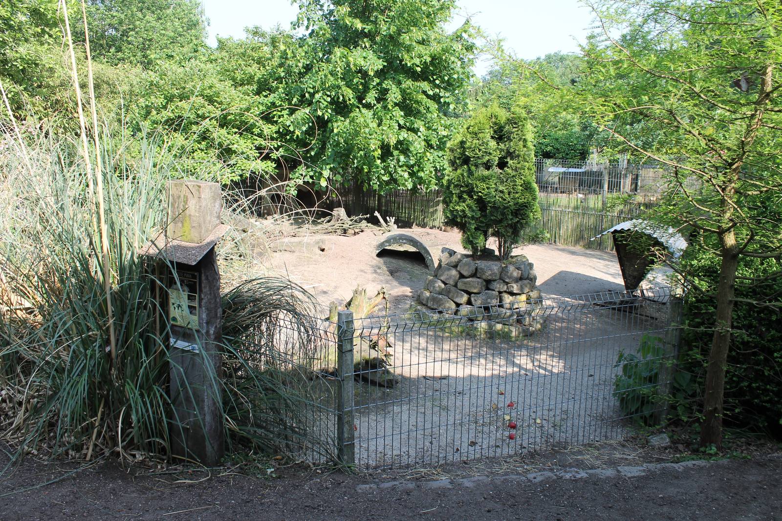 Enclosure Patagonian cavy