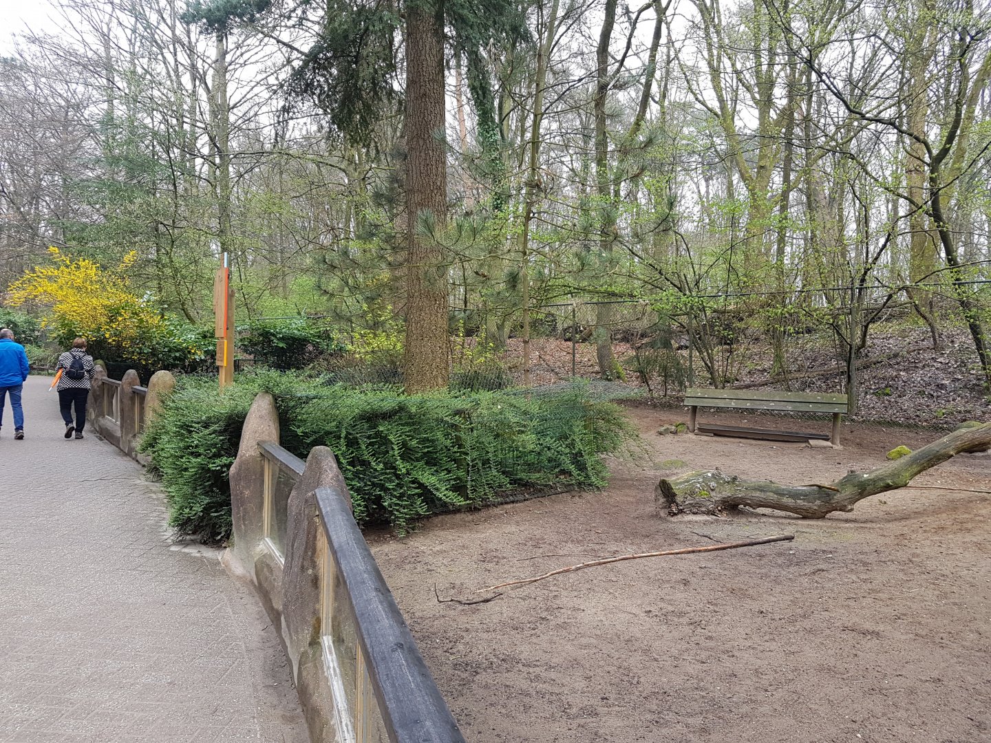 Enclosure Patagonian cavy