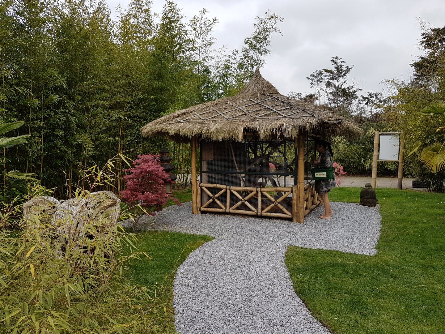 Enclosure Pere David's squirrel