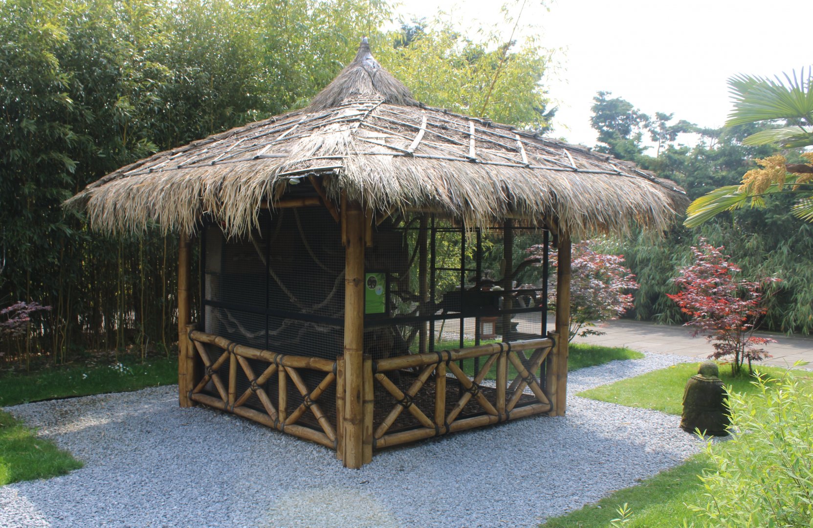 Enclosure Pere David's squirrel