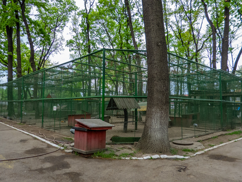 enclosure pf pheasants, chicken and doves