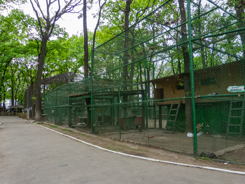 enclosure pf pheasants, chicken and doves