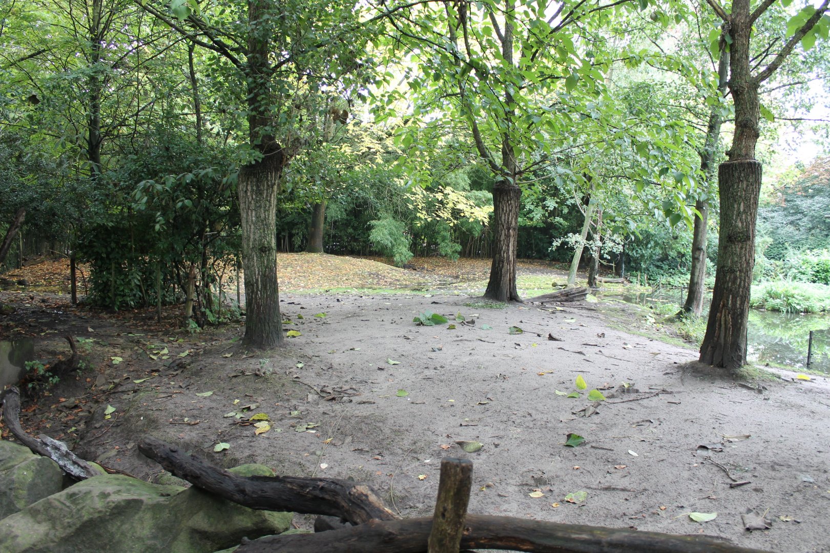 Enclosure Philippine spotted deer