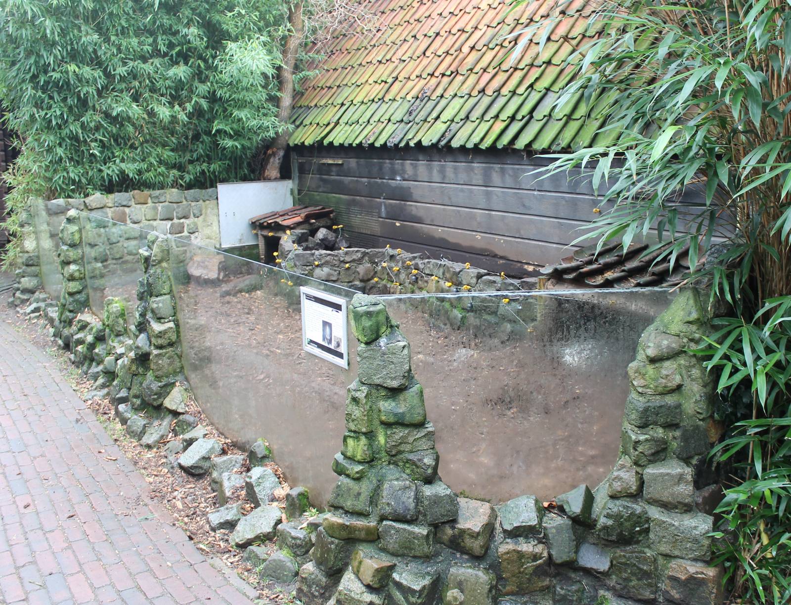 Enclosure Porcupines