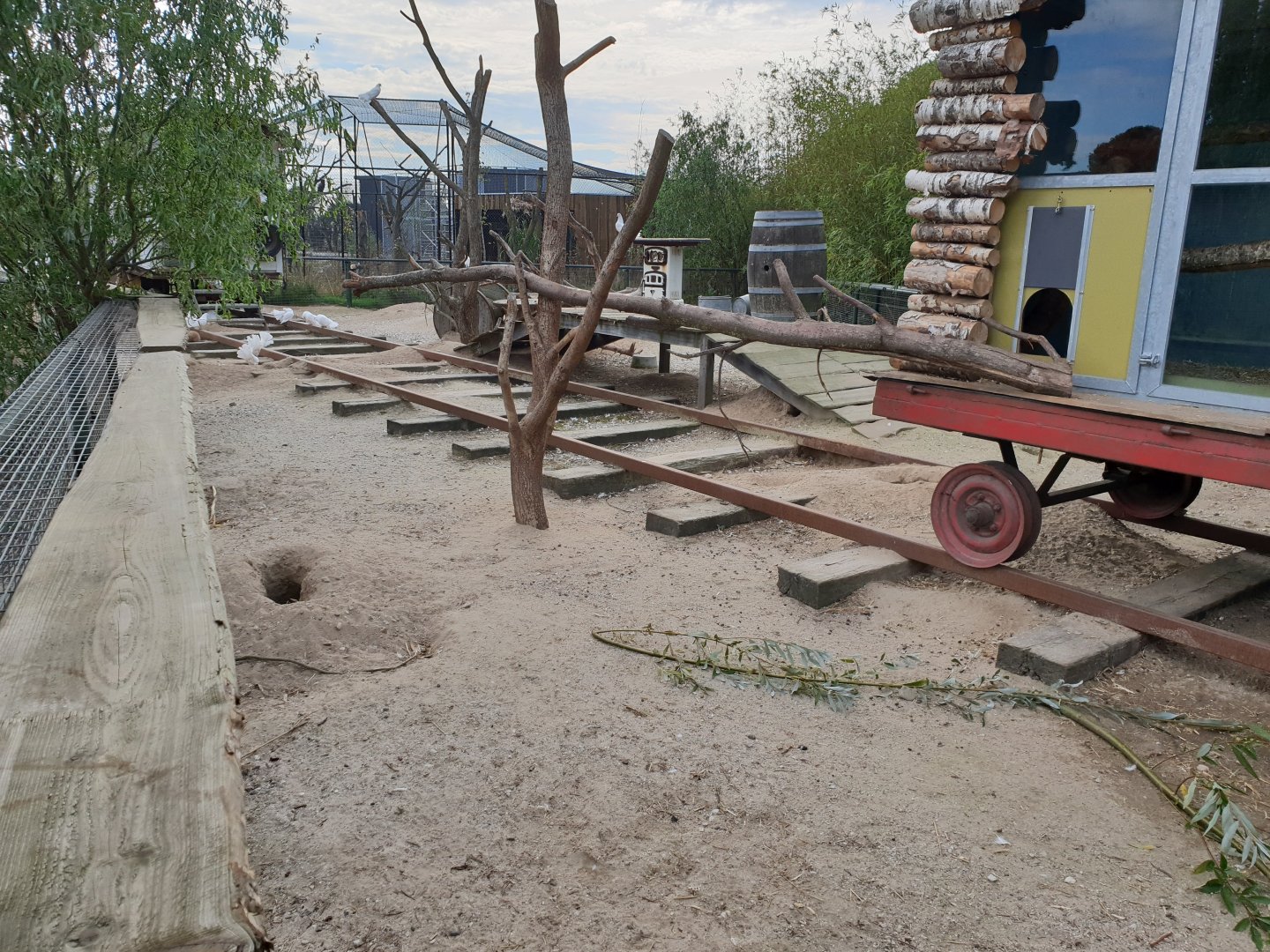 Enclosure Prairiedog - Porcupine