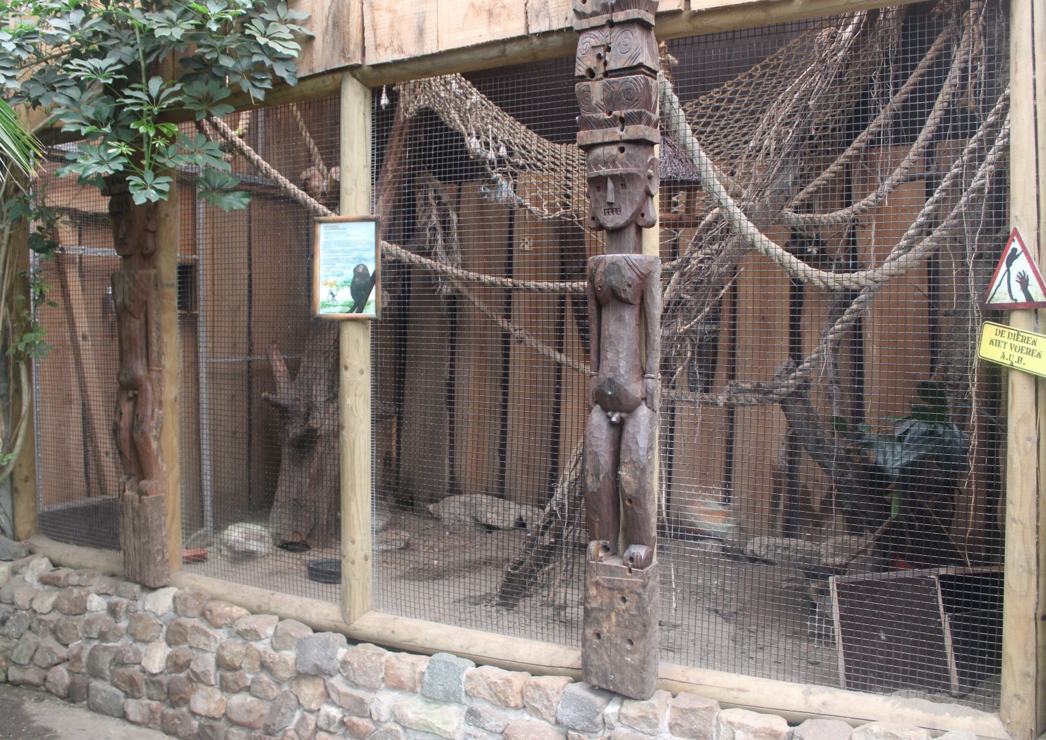 Enclosure Pygmy marmoset