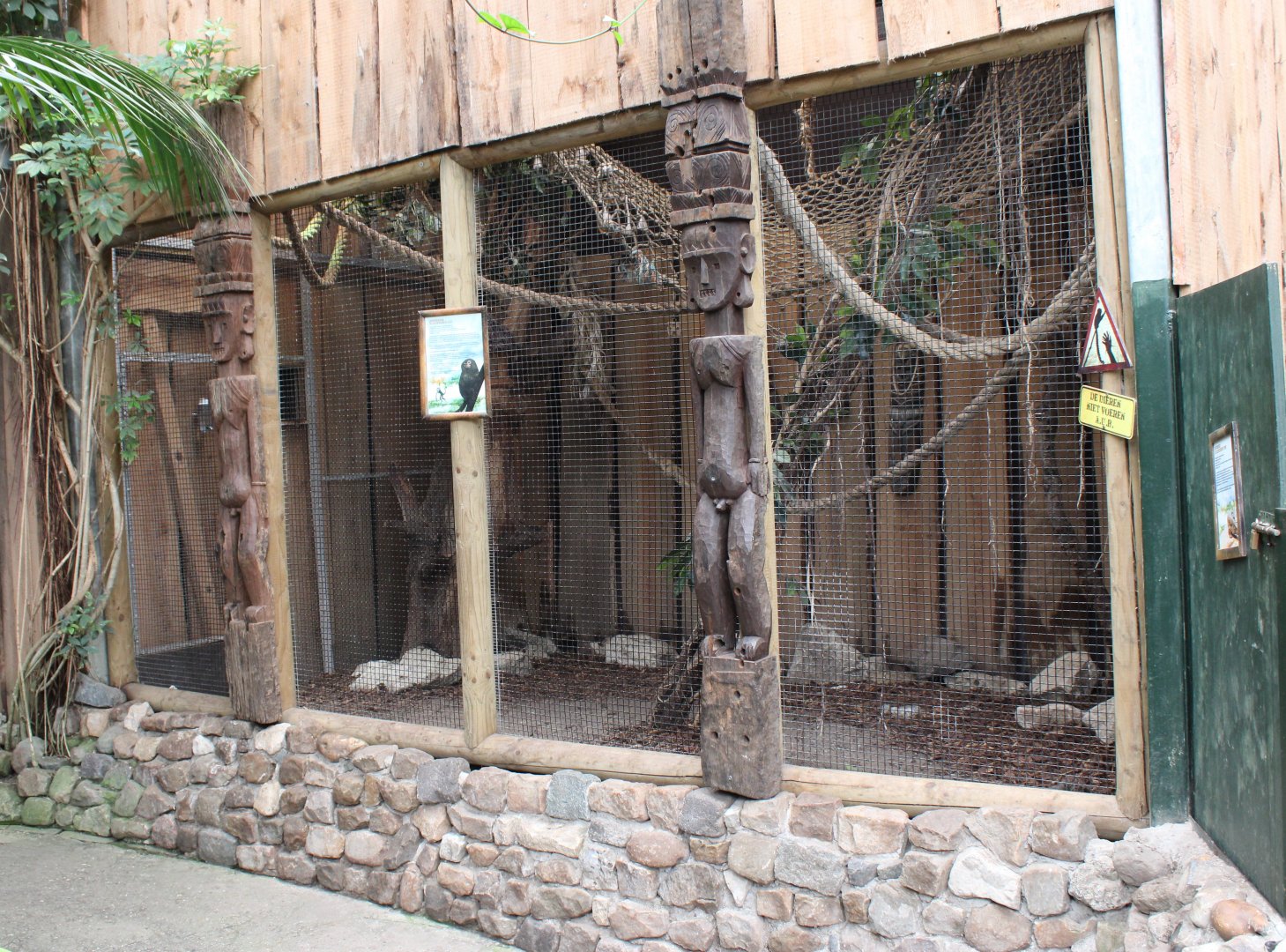 Enclosure Pygmy marmoset