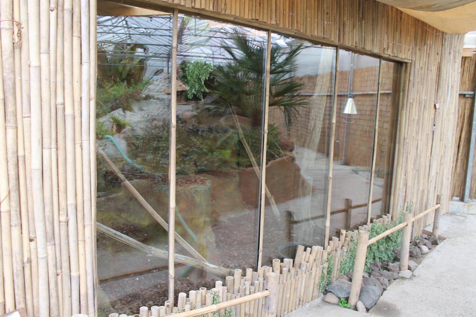 Enclosure Python molurus