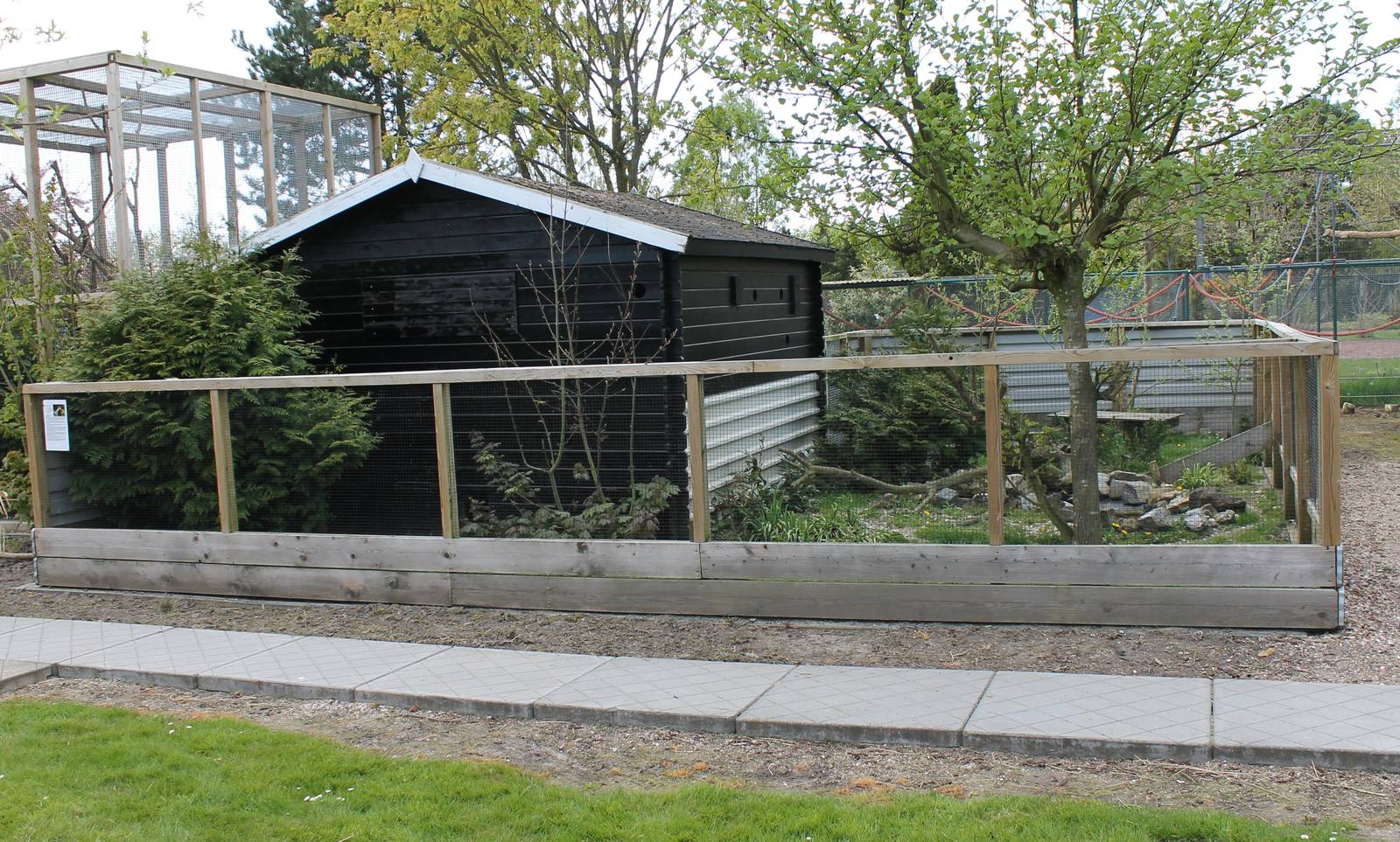 Enclosure Raccoon dog