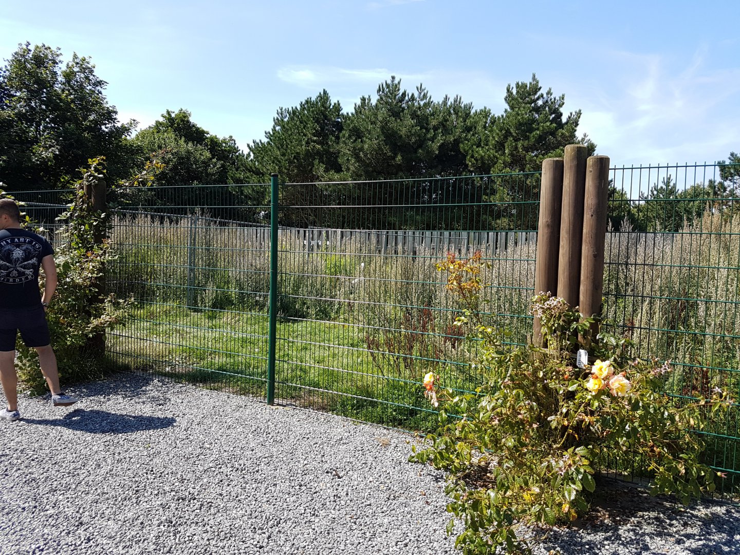 Enclosure Red-crowned crane