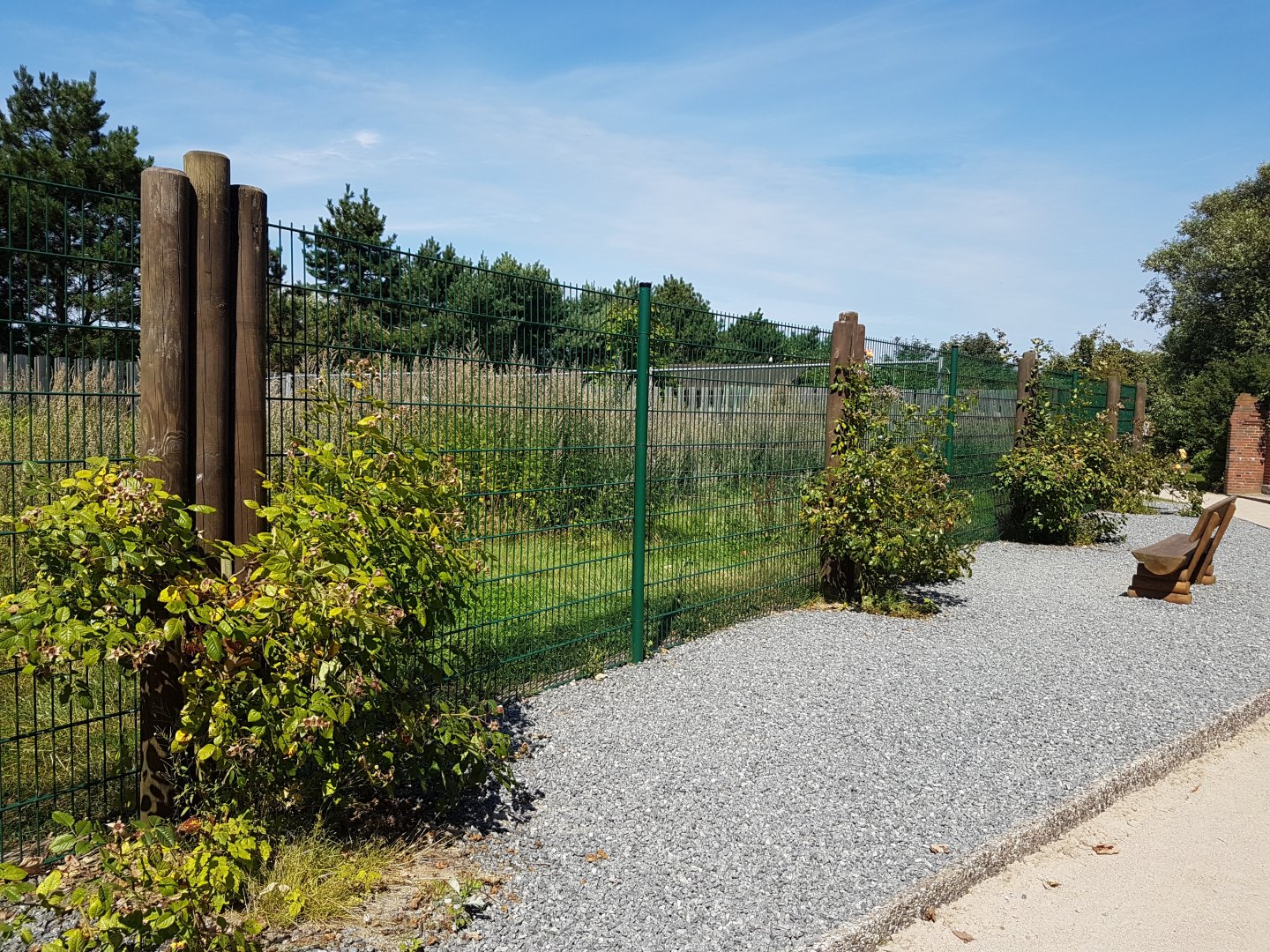 Enclosure Red-crowned crane
