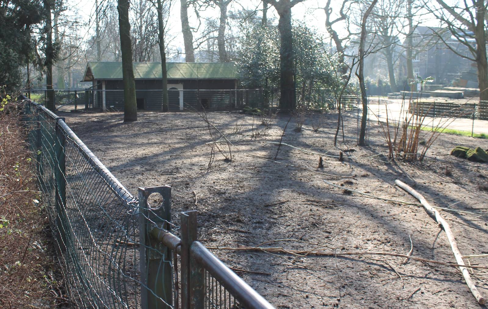 Enclosure Red-necked wallaby