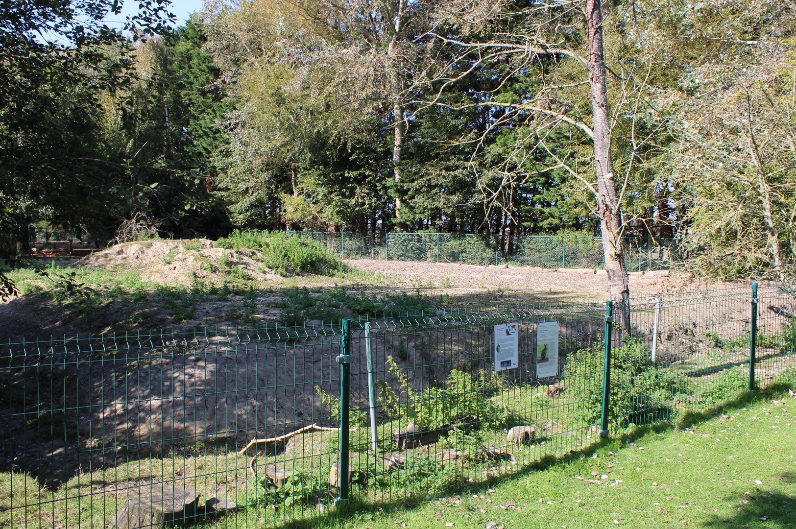 Enclosure Red-necked wallaby