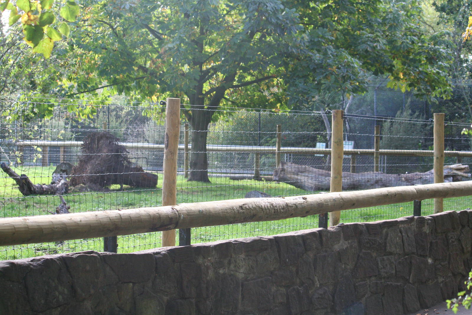 Enclosure renovation (kangaroos-anteaters)