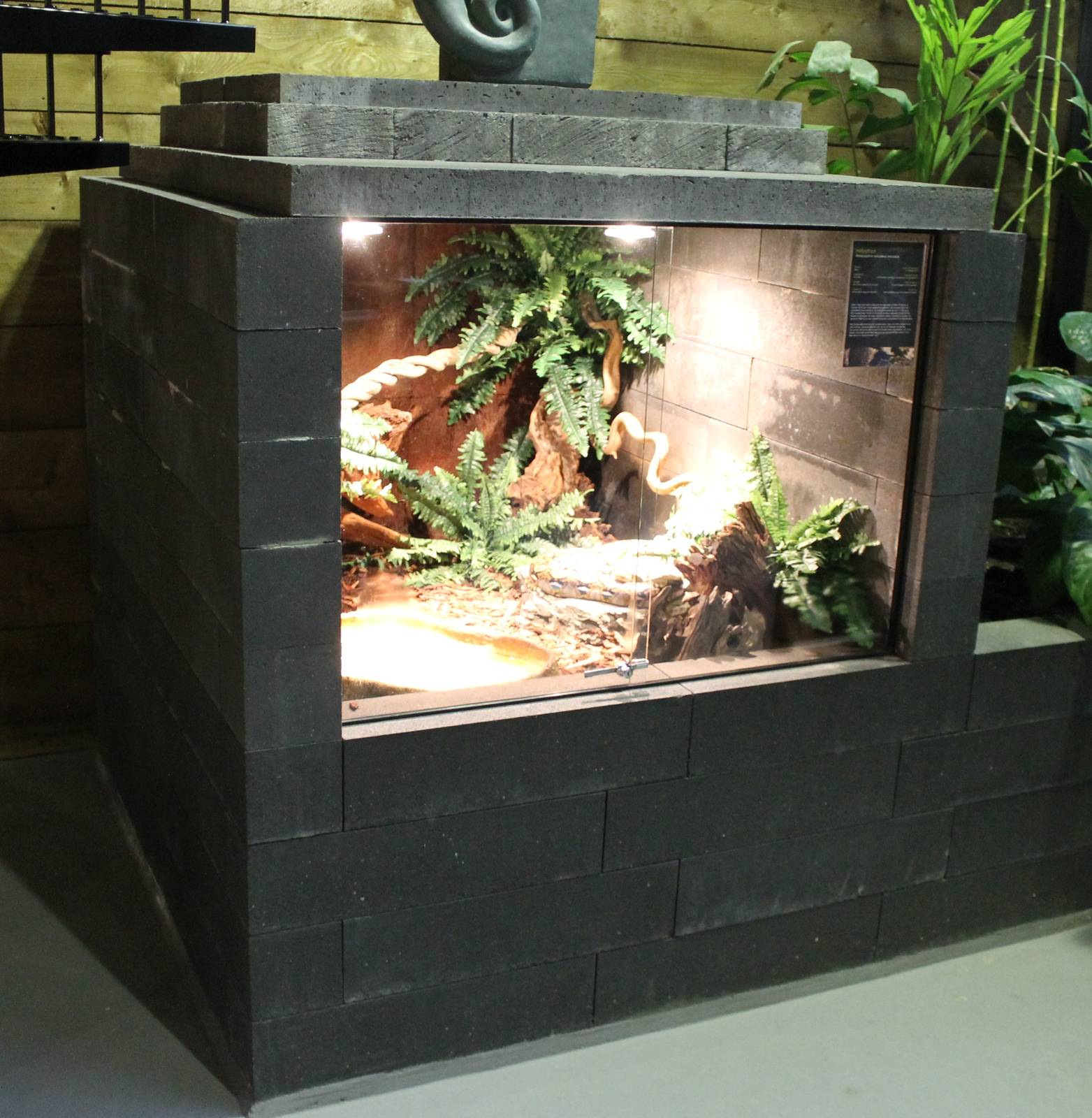 Enclosure Reticulated python