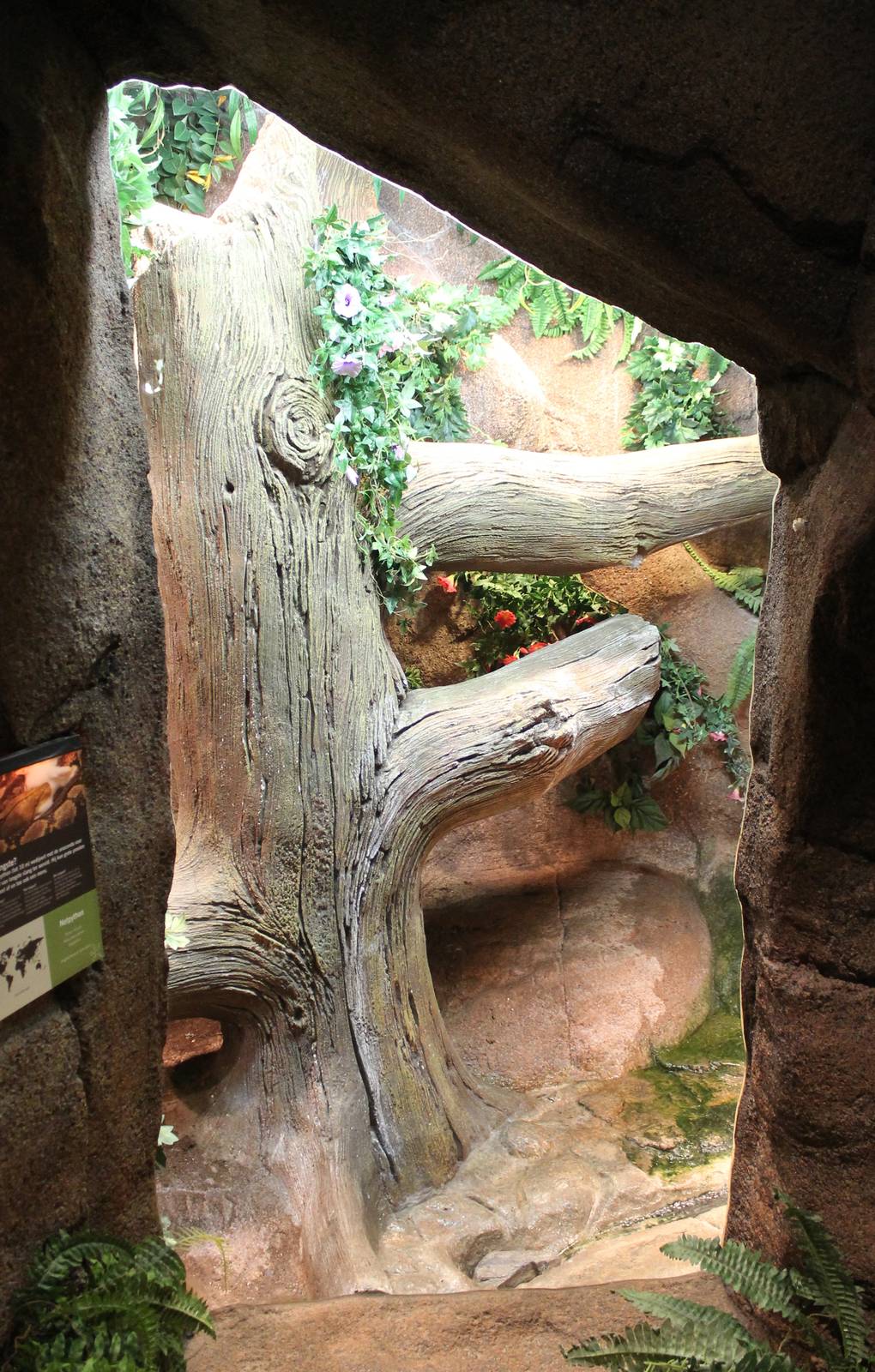 Enclosure Reticulated python