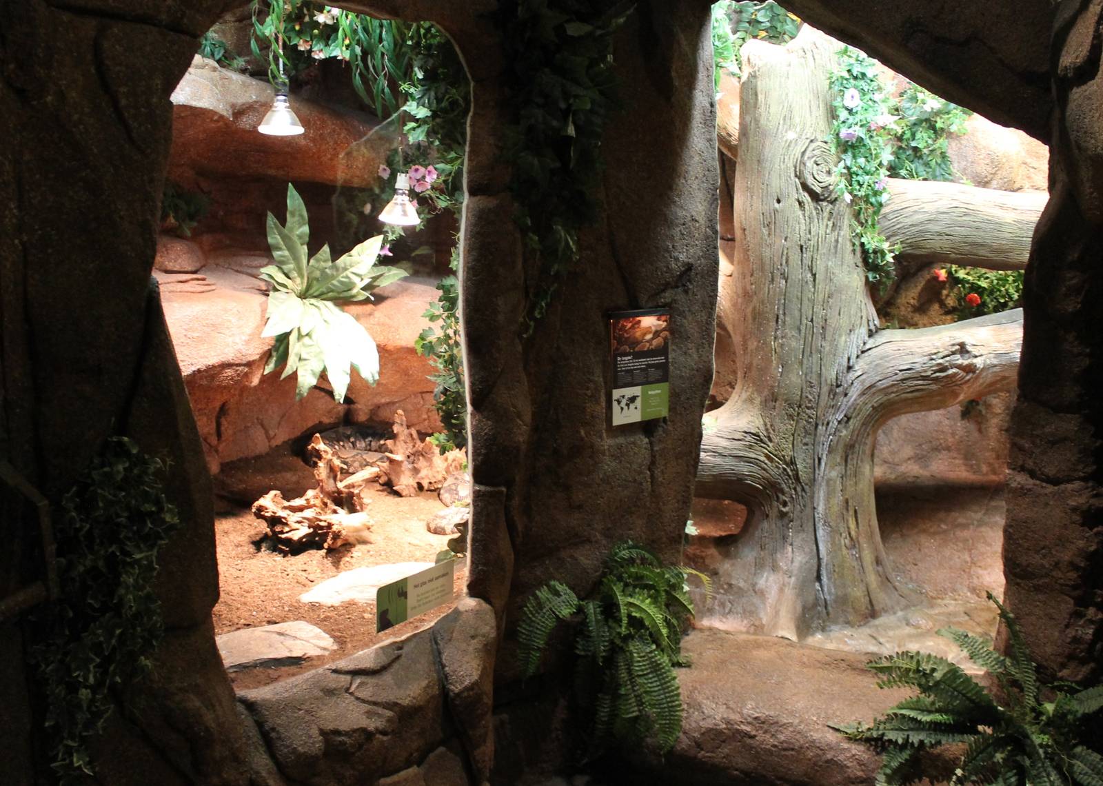 Enclosure Reticulated python