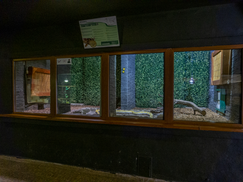 enclosure reticulated python