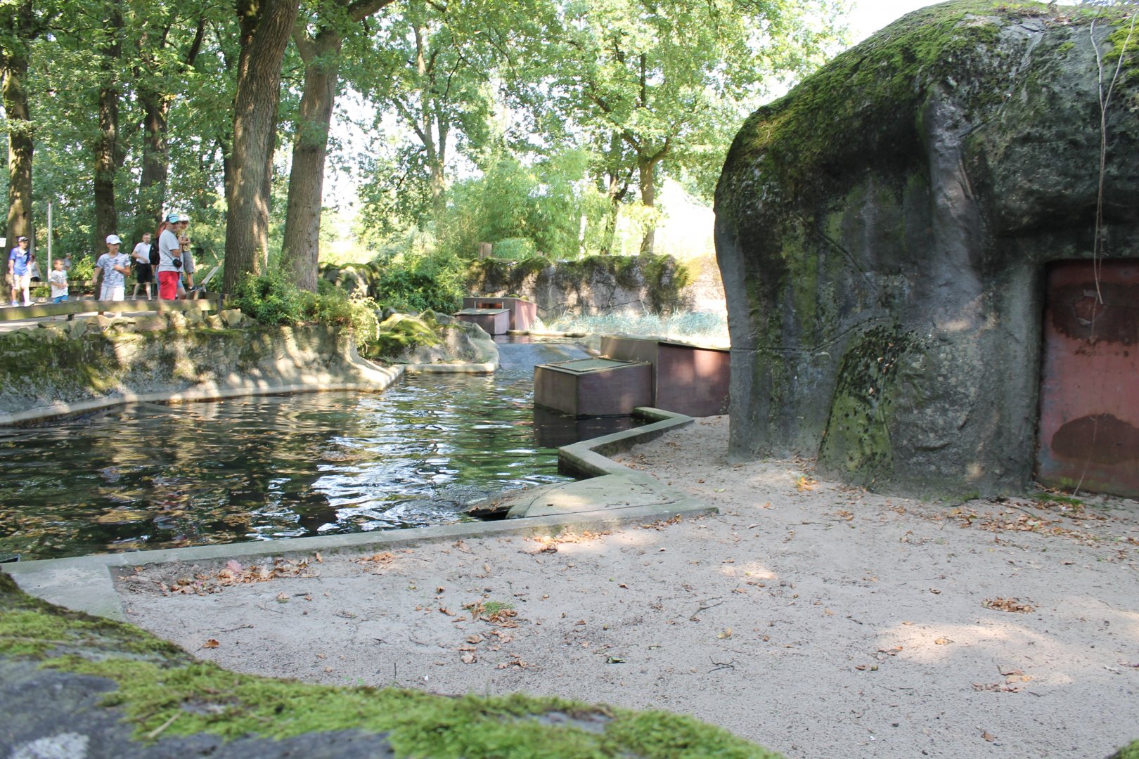 Enclosure Ringed seal