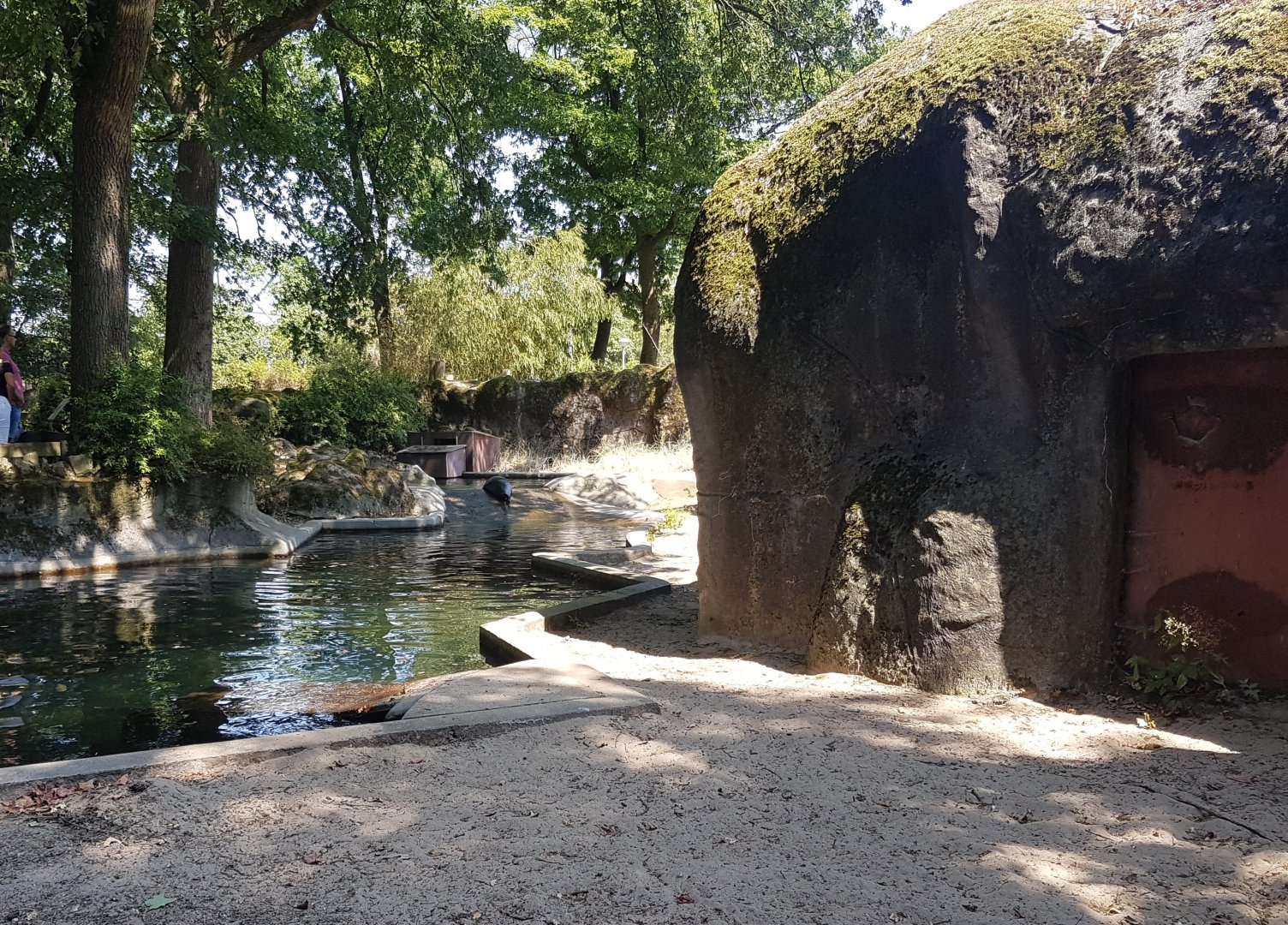 Enclosure Ringed seal