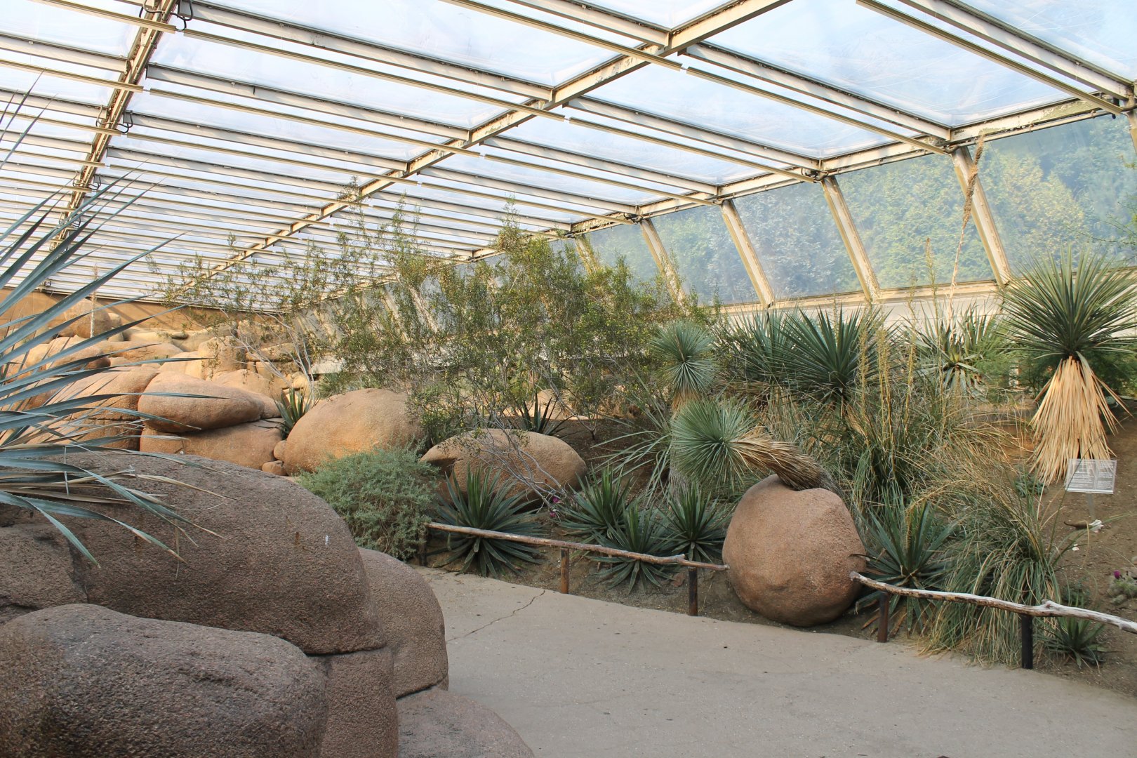Enclosure Roadrunner - Burrowing owl