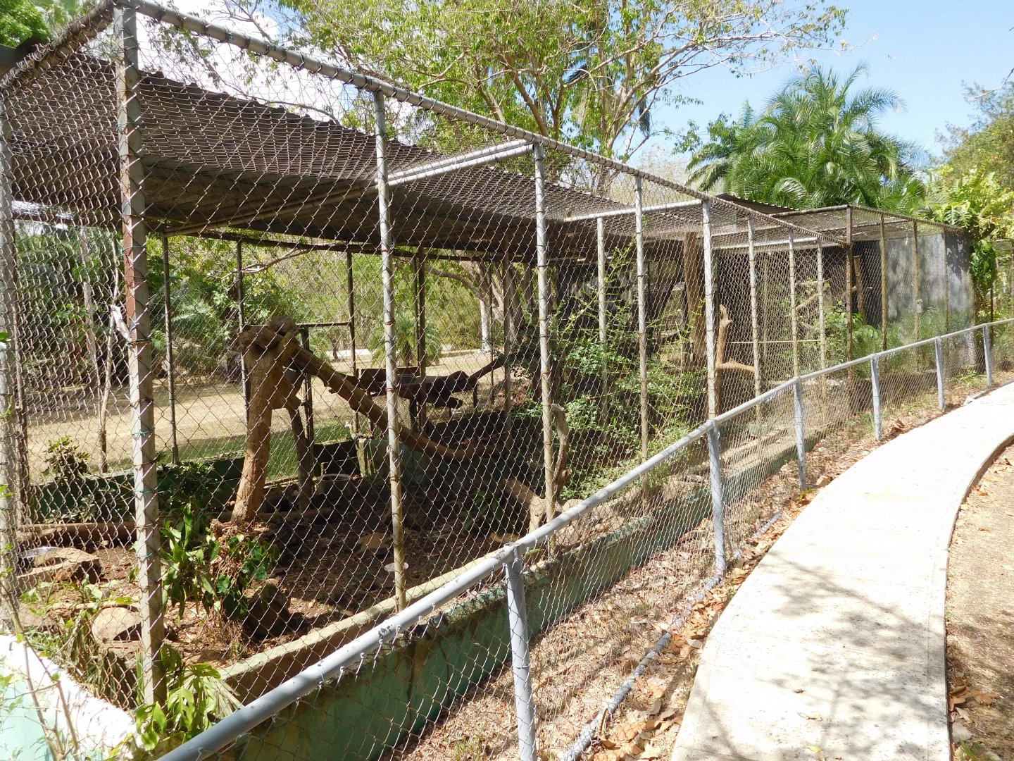Enclosure row for small carnivores and currasows