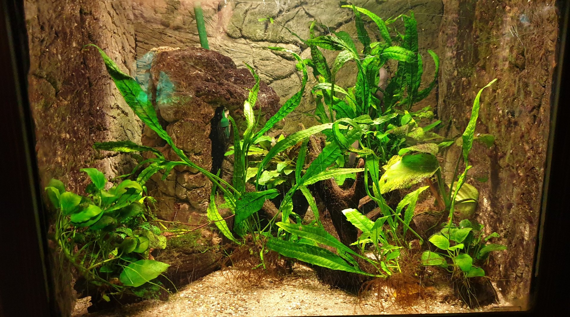 Enclosure Rubber eel