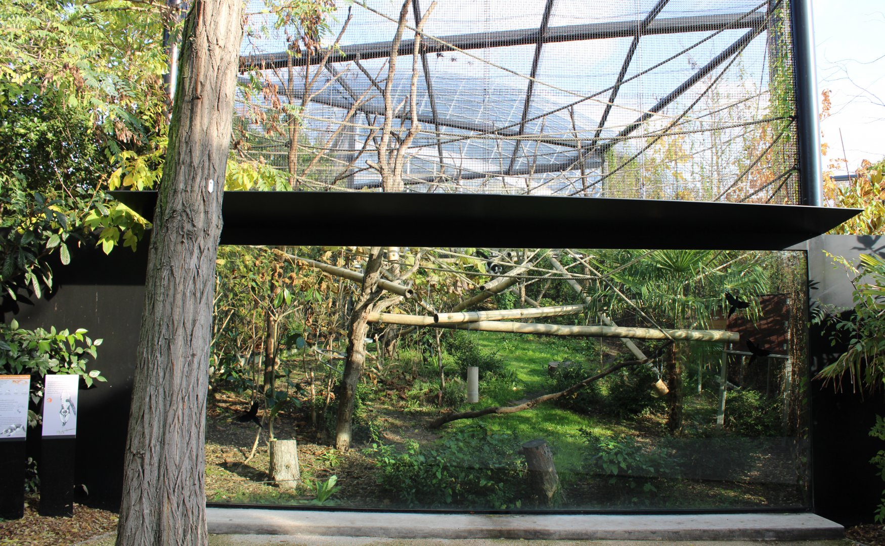 Enclosure Ruffed lemur