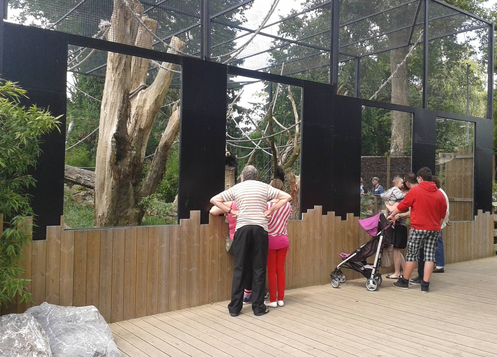 Enclosure Sakis and Macaws