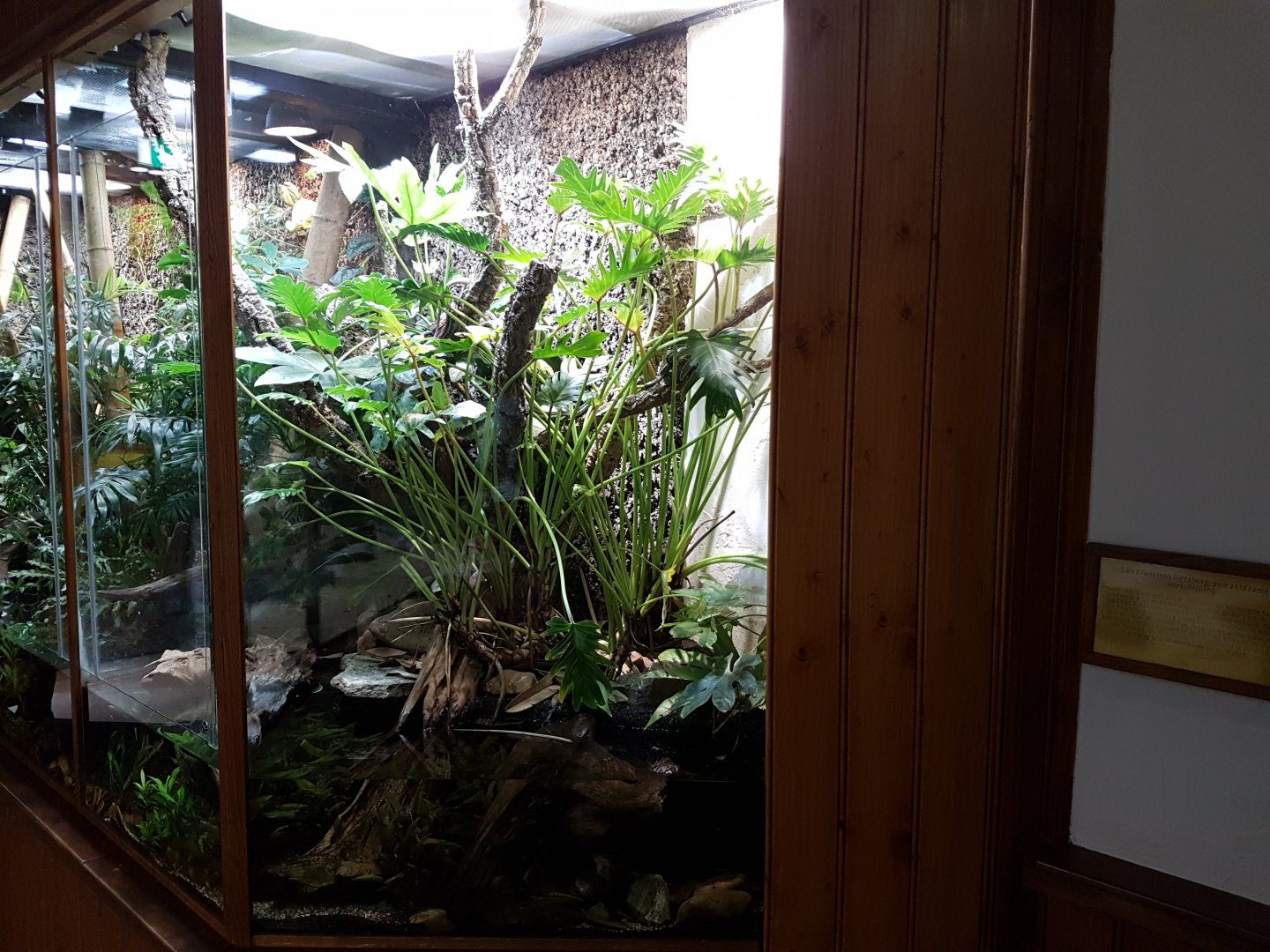 Enclosure San Francisco garter Snake