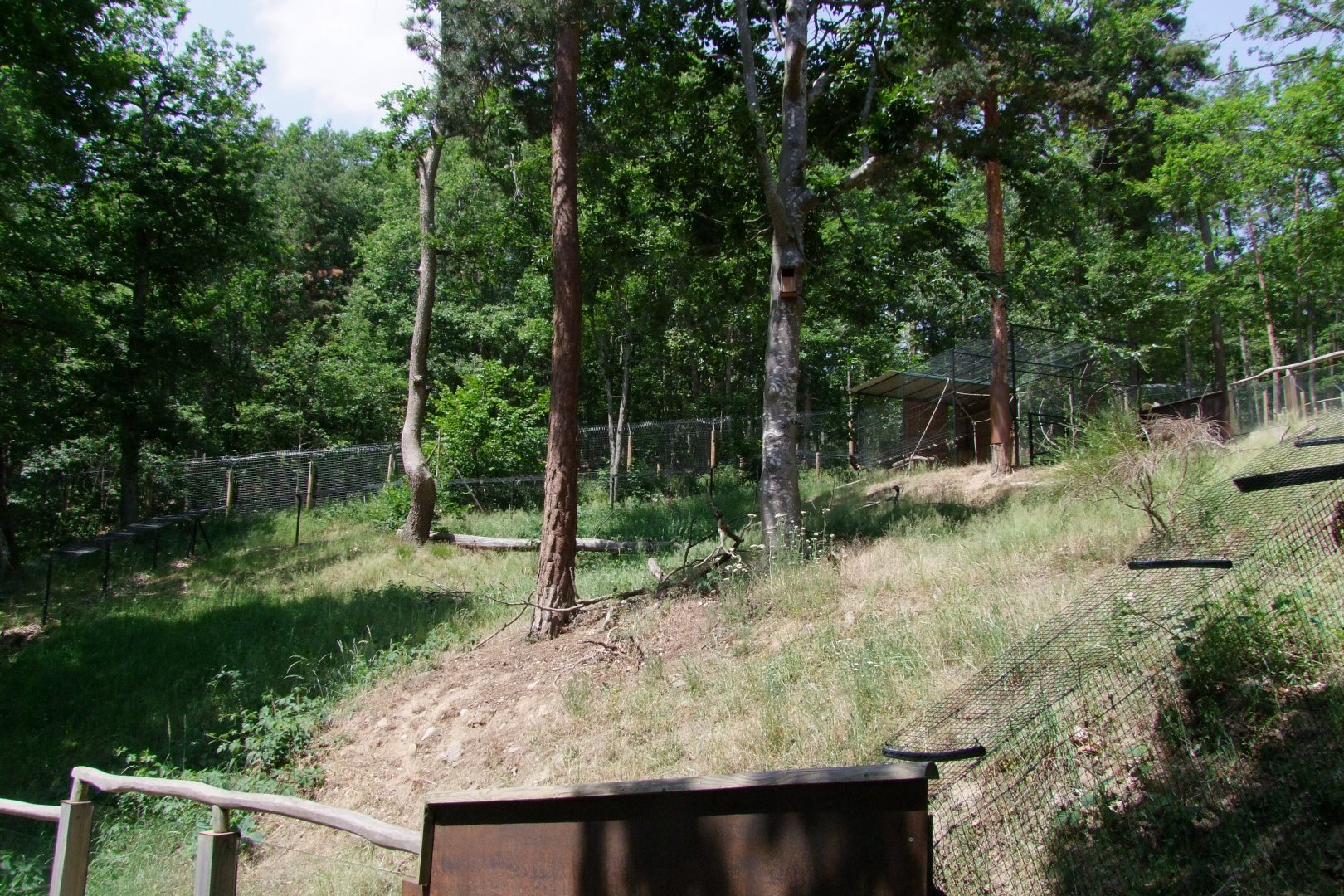 Enclosure Sciurus vulgaris