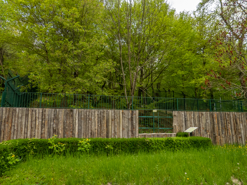 enclosure siberian tiger