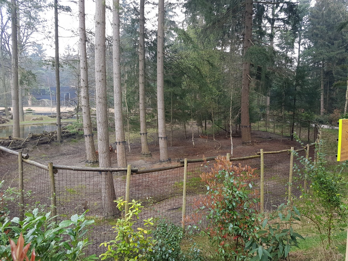 Enclosure Sitatunga
