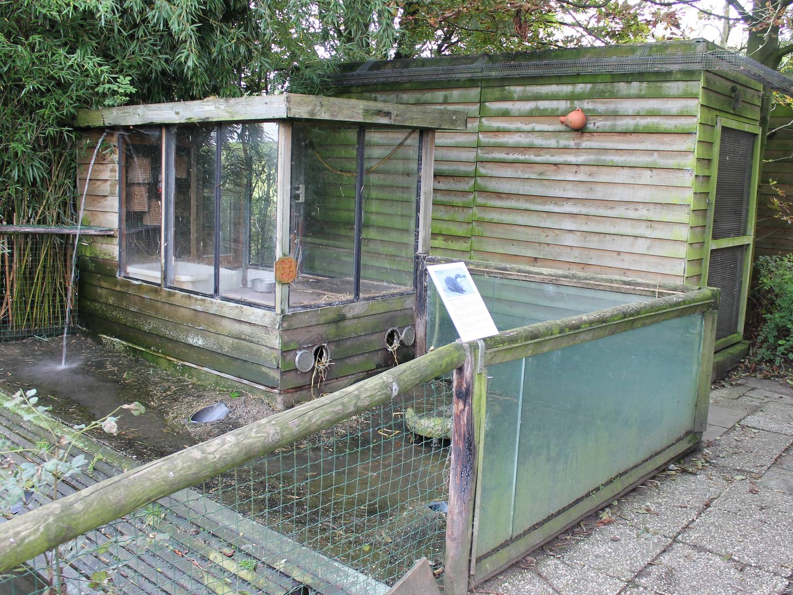 Enclosure Small-clawed otter