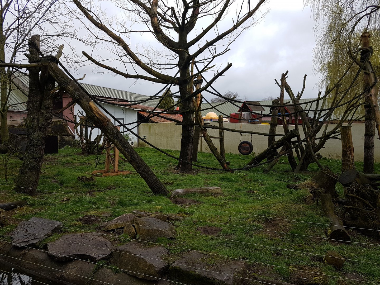 Enclosure Small-clawed otter