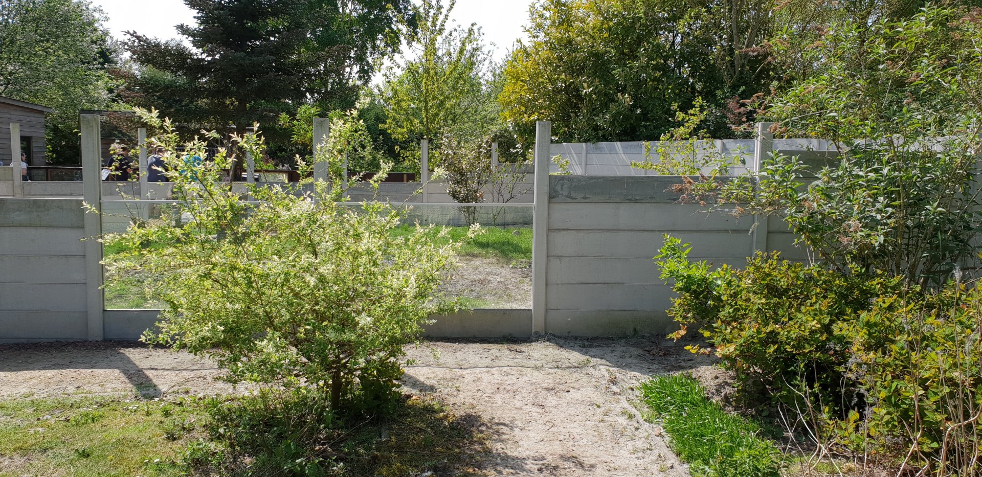 Enclosure Small-clawed otter