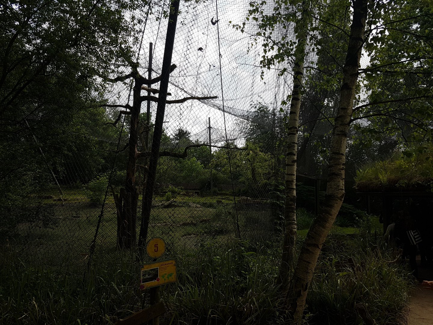 Enclosure Snow leopard