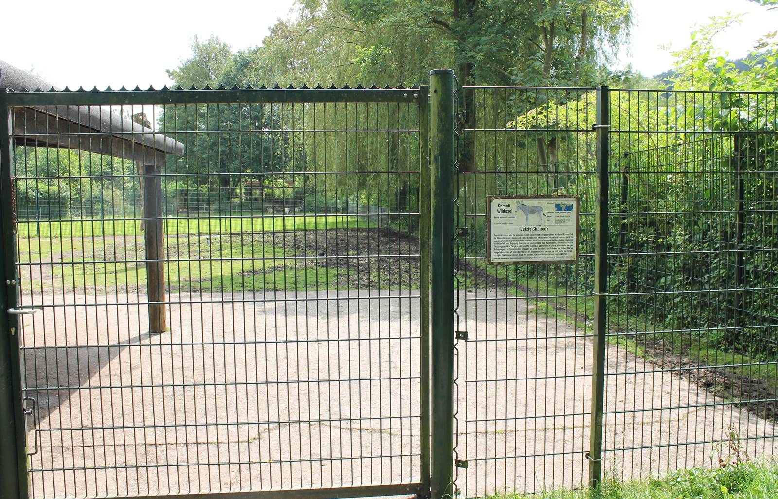 Enclosure Somali wild ass