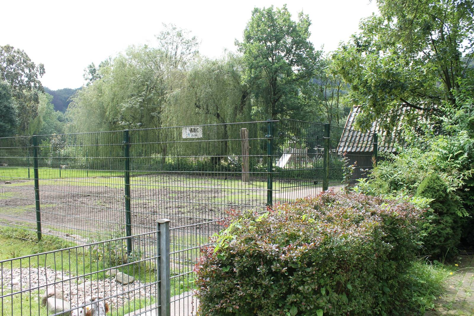 Enclosure Somali wild ass