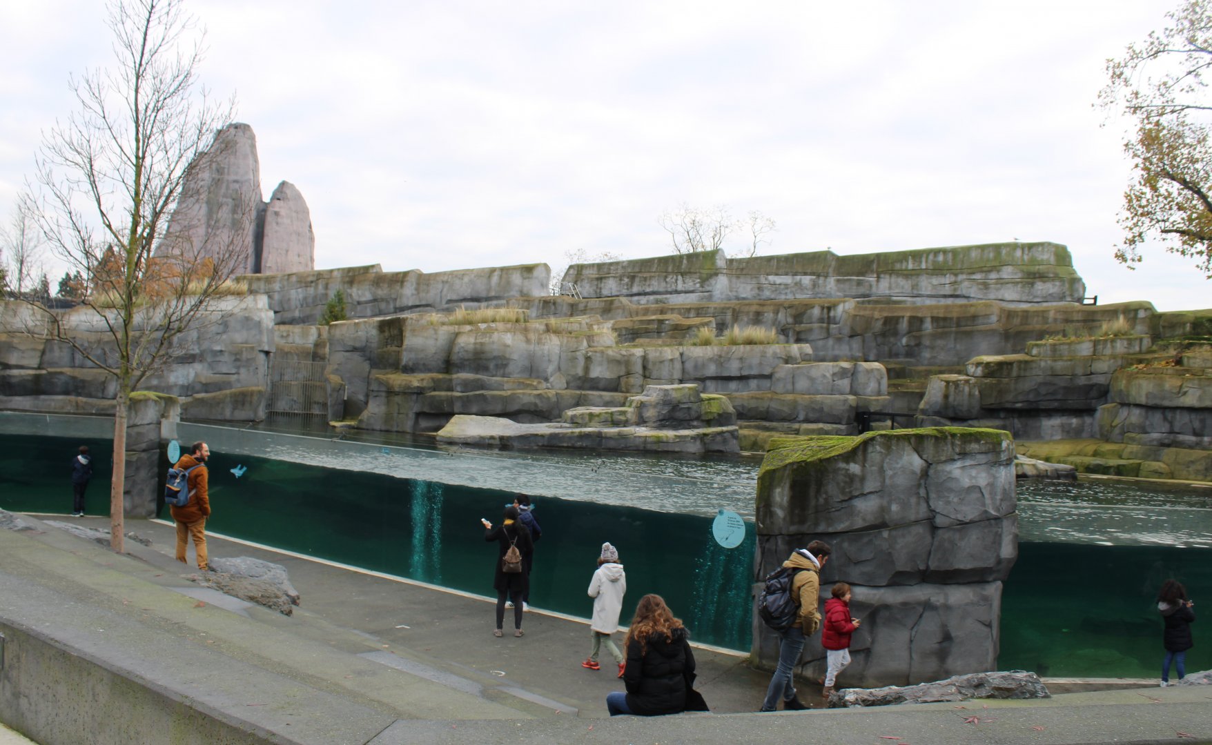 Enclosure South American sea-lion