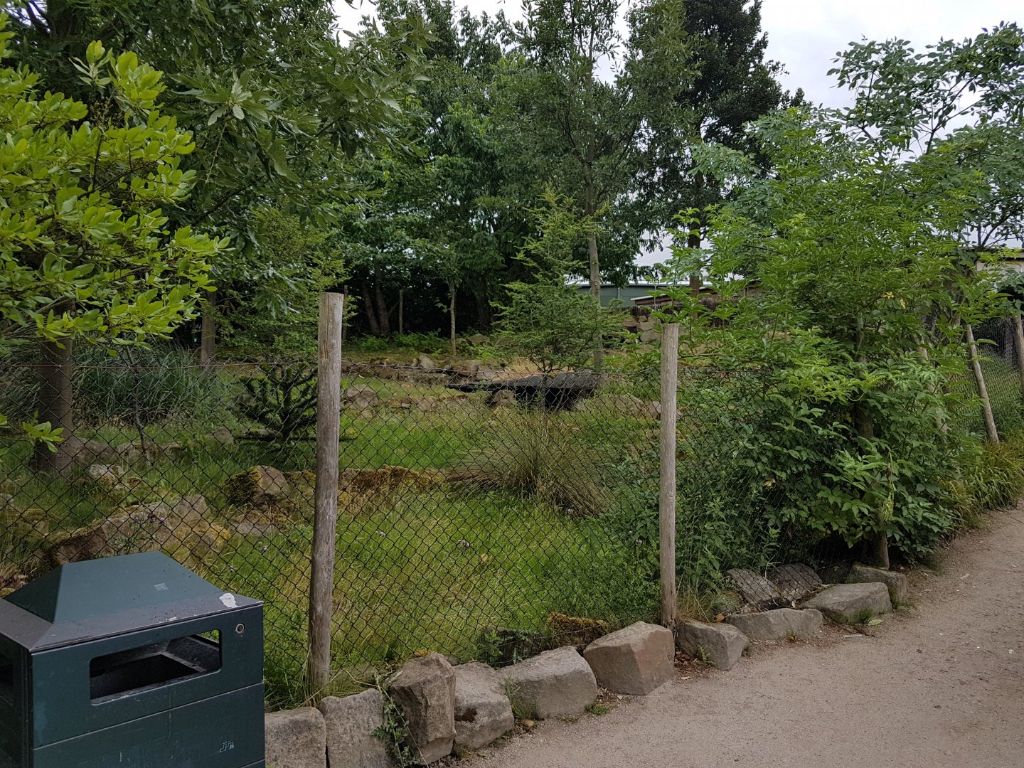 Enclosure Southern pudu