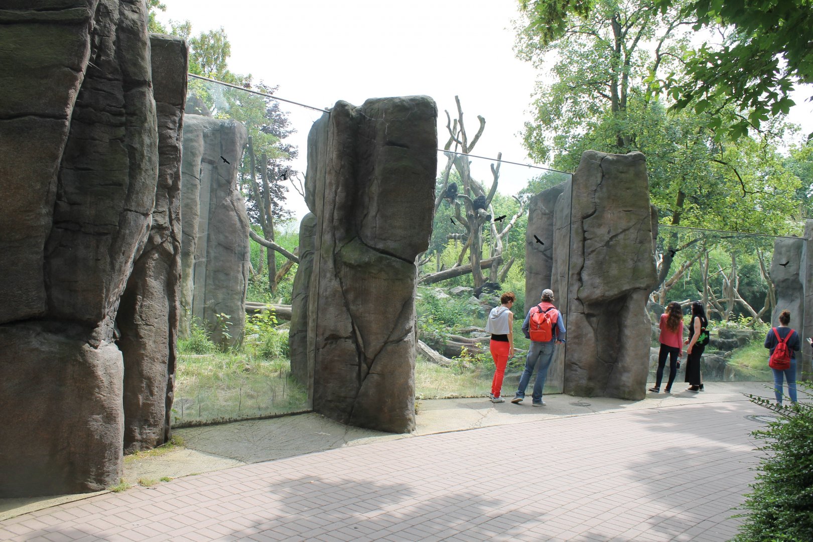 Enclosure Spectacled bear