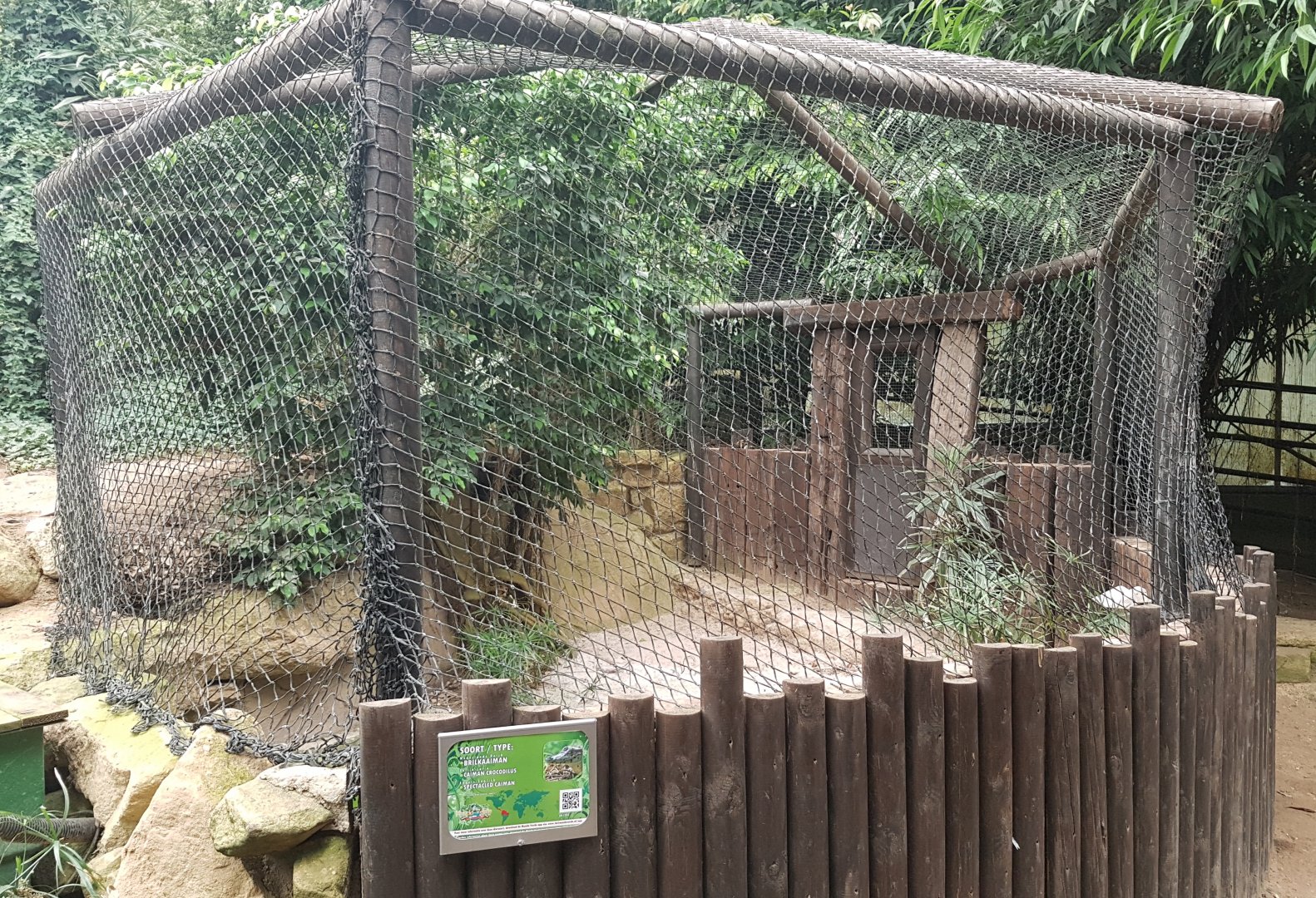 Enclosure Spectacled caiman