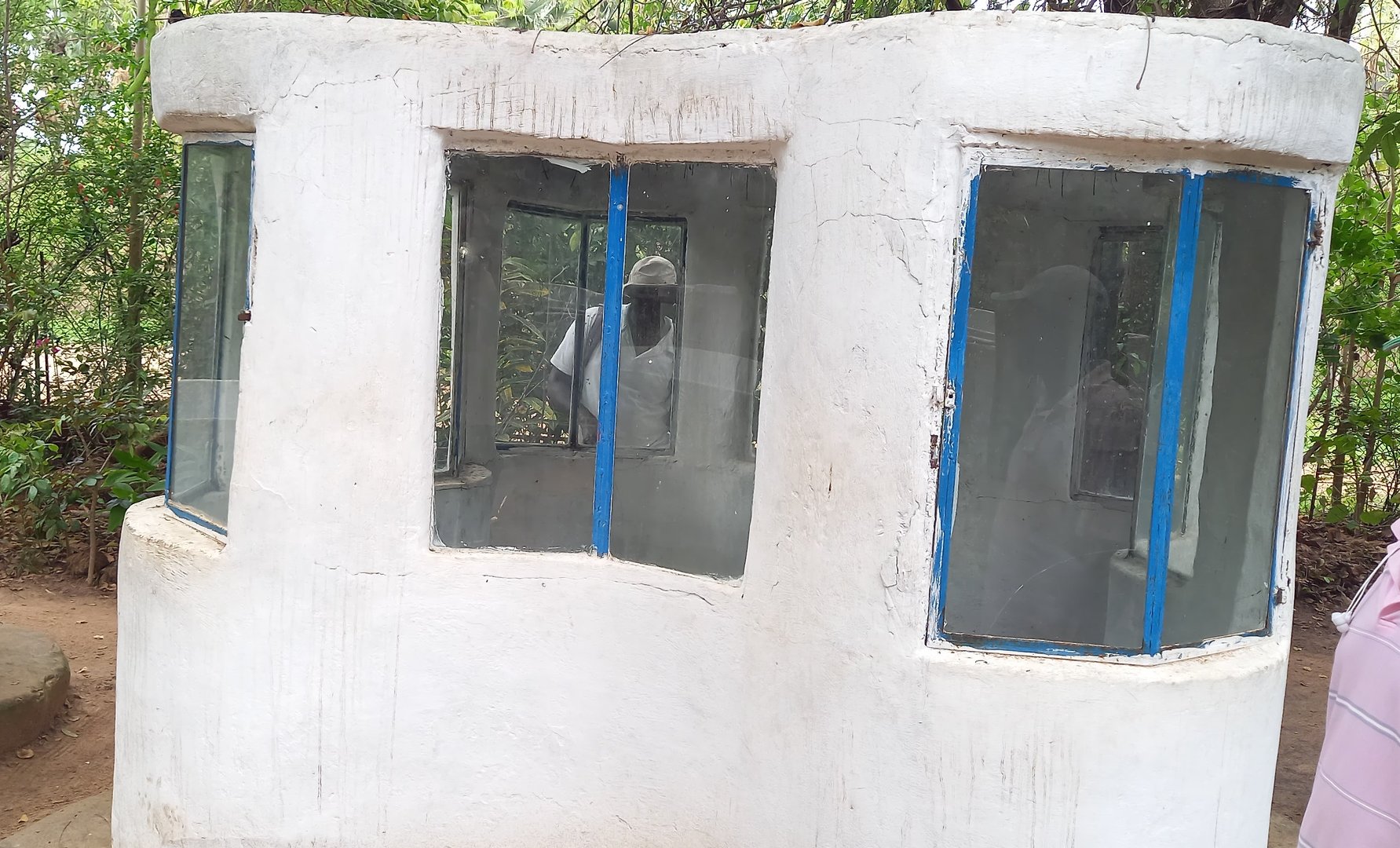 Enclosure Spitting cobra