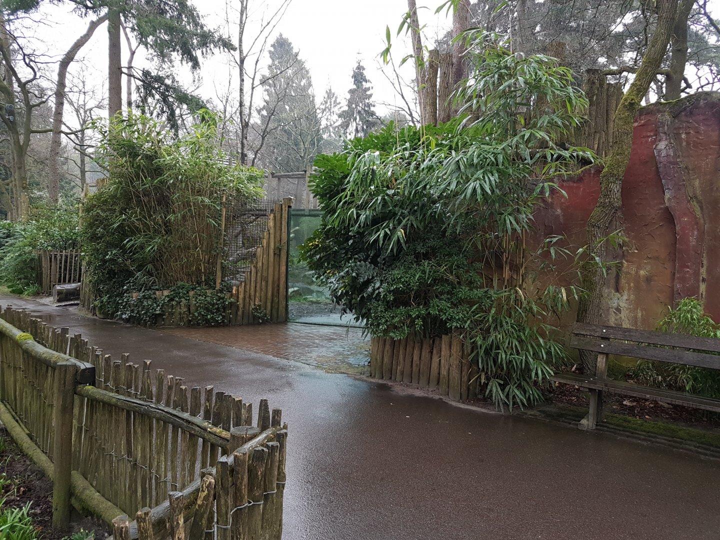 Enclosure Spotted hyena