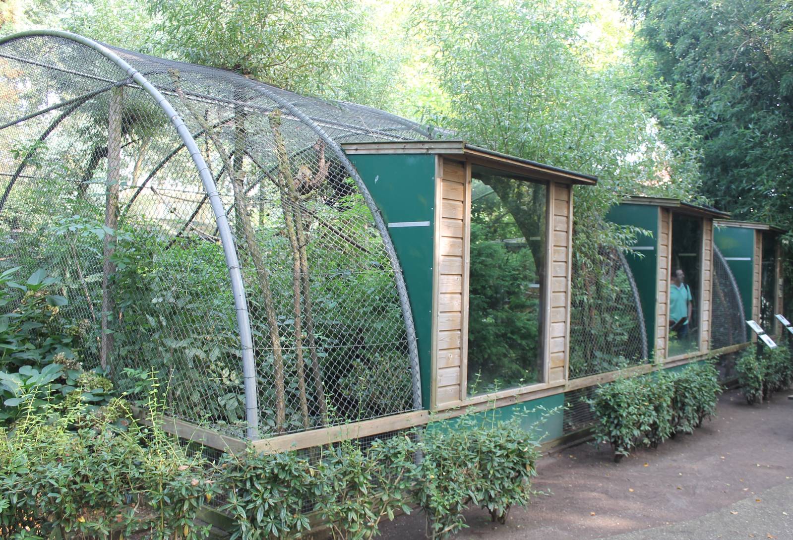 Enclosure Squirrel monkey and Bare-faced curassow