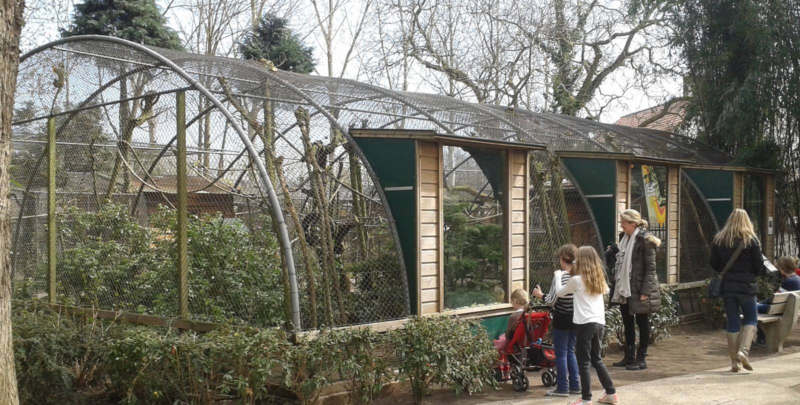 enclosure squirrel monkeys